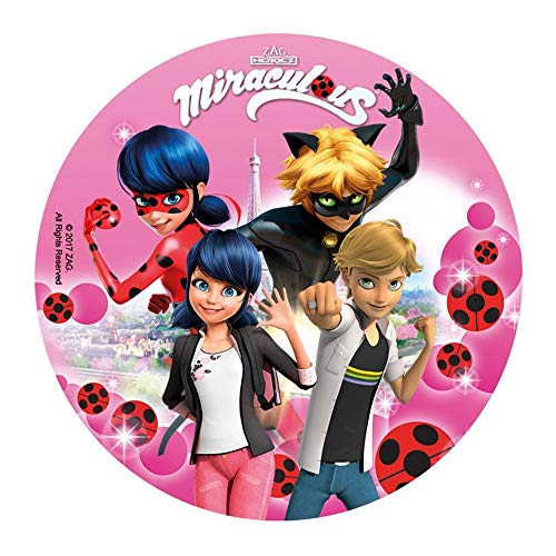Disque Rose Gâteau D'anniversaire Ladybug - En Azyme 20cm