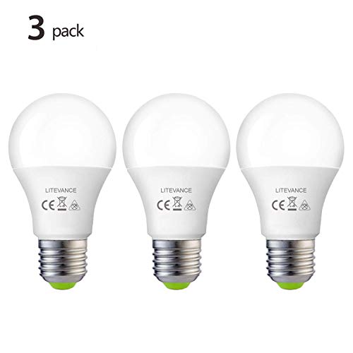 Litevance 12V -24V AC/ DC 12W LED Edison Bulbs,12W 1050lumen A19 E26 Light Bulbs, Low Voltage Light Bulbs for Off Grid Solar Lighting Marine Boat RV 12V Interior Lighting for Camper (3000K Warm White)