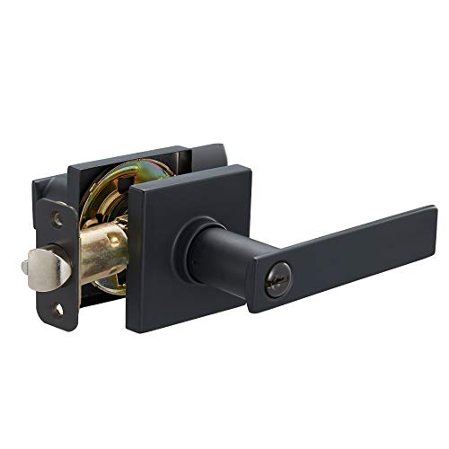 Amazon Basics Contemporary Stamford Entry Door Lever, Easy Installation, Matte Black, 1-Pack
