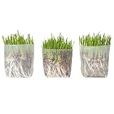 Window Garden Kit Cat Grass for Indoor Cats (3 Pack) - Easy to Grow Kitty Grass Kit, The Purr-FECT Catnip Growing Kit with Planter, Plant Kit Includes Organic Non GMO Wheatgrass Seed and Fiber Soil.