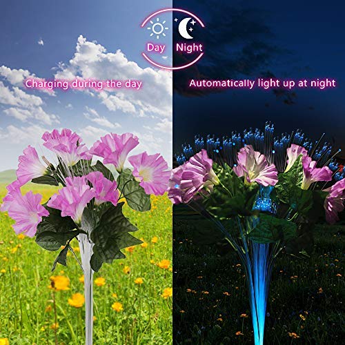 dapai Solar Garden Lights Outdoor, LED Decorative Solar Flowers Stake Lights for Garden Yard Patio Lawn Path Decoration, Color Changing, 2 Pack ( Pink & Purple)