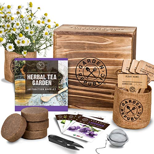 Indoor Herb Garden Seed Starter Kit - Organic Herbal Tea Growing Kits, Grow Medicinal Herbs Indoors, Lavender Chamomile Lemon Balm Mint Seeds, Soil, Plant Markers, Planting Pots, Infuser, Planter Box