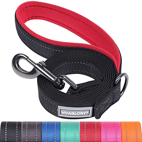 VIVAGLORY Dog Training Leash with Padded Handle, Heavy Duty 6ft Long Reflective Nylon Leash Walking Lead for Medium to Large Dogs, Black
