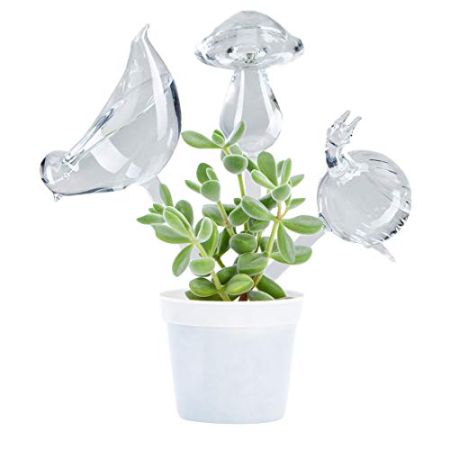 Book Cover OYSIR 3 Pack Plant Waterer Self Watering Globes,Bird Shape Hand Blown Transparent Mini Durable Clear Glass Aqua Bulbs