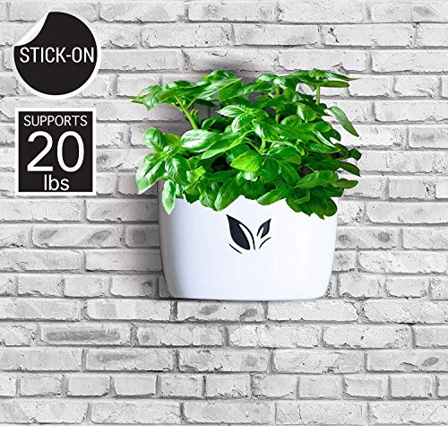 Wall Hanging Planter Pot for Herbs, Succulents - Stick On Flower Pots for Indoor Decor - no Drills, no Screws Needed - Self Watering, Low Maintenance - Supports 20 Lbs (White)