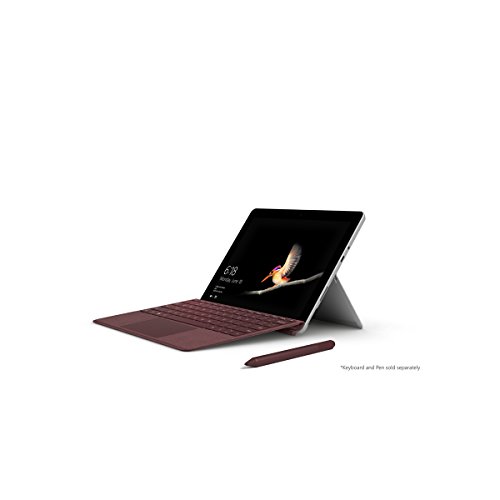 Book Cover Microsoft Surface Go (Intel Pentium Gold, 4GB RAM, 128GB)