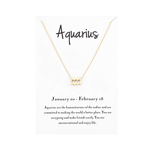 Book Cover Mocya Zodiac Necklace for Women Jewelry Horoscope Constellation Pendant Astrology Birthday Gifts
