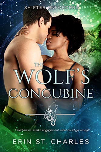 Book Cover The Wolf's Concubine: BWWM Paranormal (Shifter Enforcers Book 2)