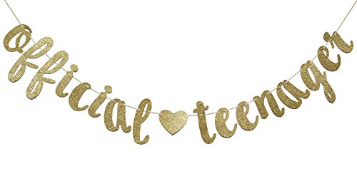 FOZEE Official Teenager Banner Sign for 13th Birthday Party Decorations 13 Years Bunting Garland Photo Prop Backdrop