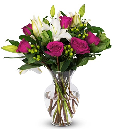 BENCHMARK BOUQUETS | Pink Elegance Bouquet, Prime Delivery, Free Vase, Farm Direct Fresh Flowers, Gift for Anniversary, Birthday, Congratulations, Get Well, Home Décor, Sympathy, Thanksgiving