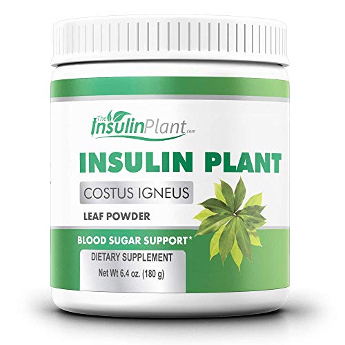 Insulin Plant Leaf Powder (Costus Igneus) - Blood Sugar Support - 180g (2 Month Supply) - TheInsulinPlant.com