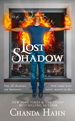 Book Cover Lost Shadow (The Neverwood Chronicles Book 3)