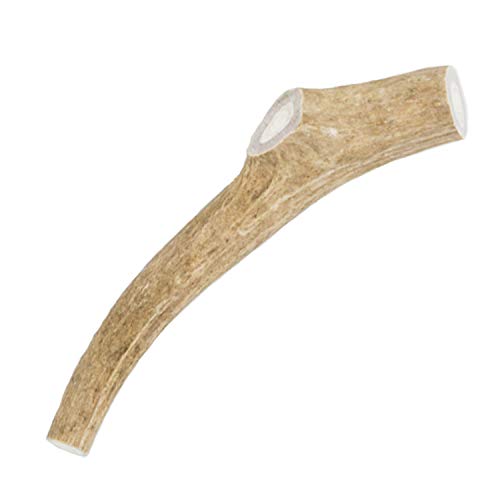 VetWELL Antlers for Dogs - Large 8 inch Premium Grade A Dog Antler Chews Long Lasting for Aggressive Chewers Naturally Shed in The USA (1 Count)