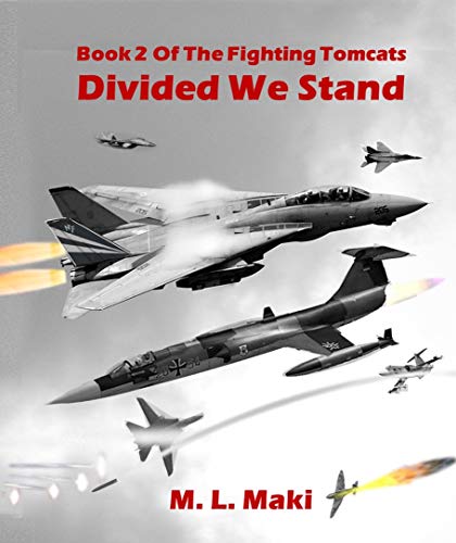 Divided We Stand (The Fighting Tomcats Book 2)