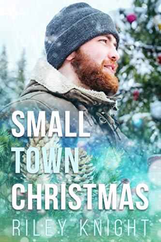 Book Cover Small Town Christmas