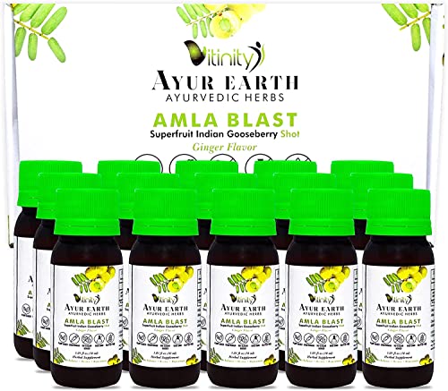 Amla Amalaki Superfood Supreme Ginger Flavor Shots 30000 Mg Highest Potency Vitamin C -Ayurveda Formula-Liquids Work Faster-Hair,Skin,Nail Health-Boost (15-Pack)