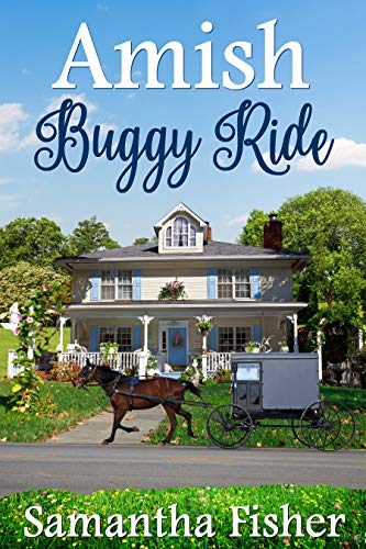 Amish Buggy Ride (Amish Homestead Book 1)