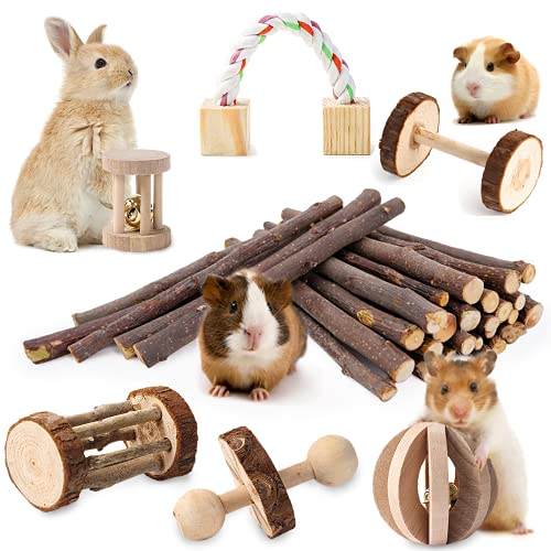 Book Cover JanYoo Bunny Chew Toys for Rabbits Teeth Guinea Pig Treats Sticks Set Natural Wood Chewing Grinding for Syrian Real Dwarf Hamster
