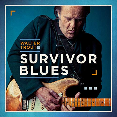 Book Cover Survivor Blues
