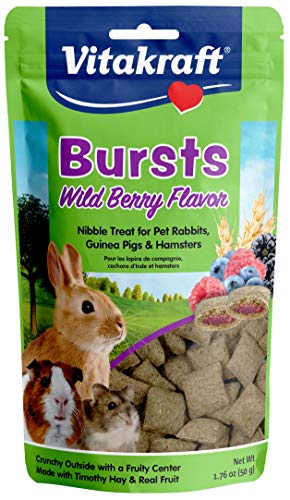 Book Cover Vitakraft Bursts Wild Berry Flavor Treats for Rabbits, Guinea Pigs & Hamsters, 1.76 oz