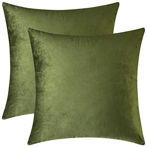 Book Cover Mixhug Set of 2 Cozy Velvet Square Decorative Throw Pillow Covers for Couch and Bed, Moss Green, 18 x 18 Inches