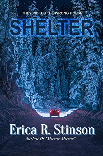 Book Cover Shelter: A Gripping Suspense Thriller