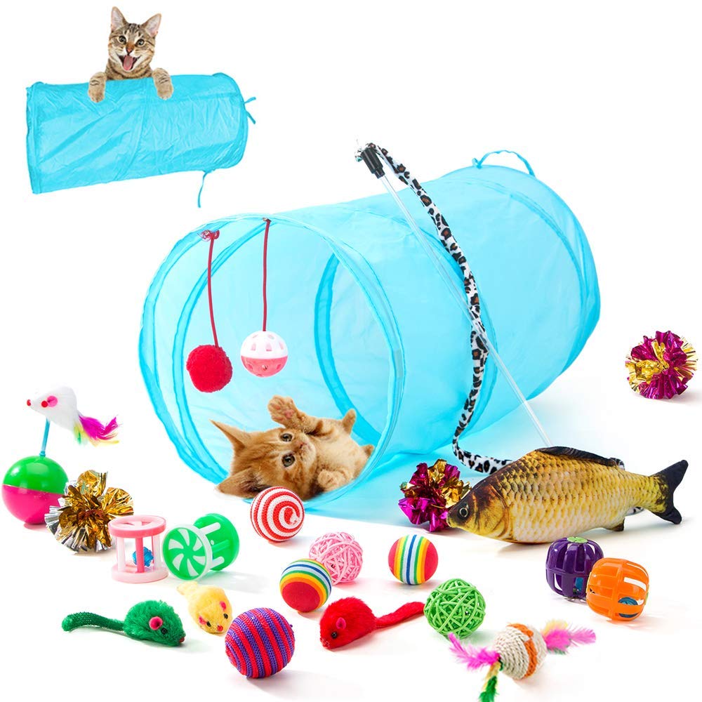 Book Cover HIPIPET 21PCS Cat Toys Interactive Kitten Toys Assortments Tunnel Balls Fish Feather Teaser Wand Mice