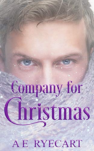 Book Cover Company for Christmas: A Festive Cinderfella Story