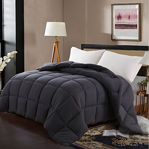 Book Cover EDILLY Ultra-Soft White Down Alternative Quilted Comforter - Hypoallergenic - All Season - Lightweight - Cozy Duvet Insert - 4 Duvet Loops - Box Stitched (Dark Grey, Queen/Full)