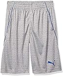 PUMA Big Boys' Performance Shorts