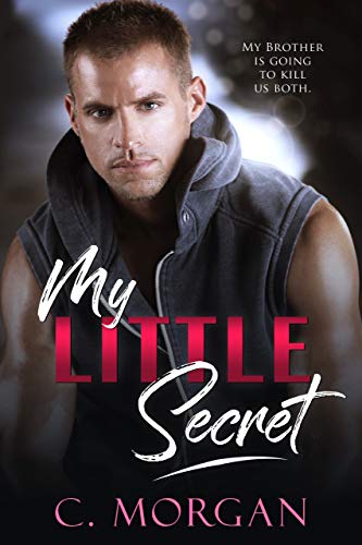 My Little Secret: A Brother's BFF Secret Baby Novel