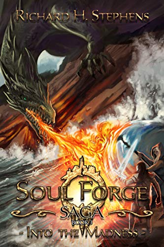 Book Cover Into the Madness: Epic Fantasy (Soul Forge Saga Book 3)