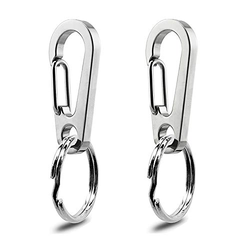 IVIA Dog Tag Clips / 2 Pack/Multiple Size 304 Stainless Steel Quick Clip with Rings/Easy Change Dog Cat ID Tag Holder for Small pet Collars and Harnesses.(2 Small Silver)