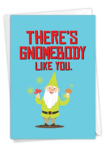 The Best Card Company - 1 Pun Birthday Card Funny - Hilarious Bday Puns, Notecard with Envelope - Gnomebody C6441EBDG