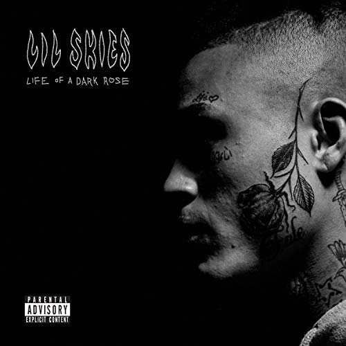 Lil Skies-Life of a Dark Rose Music Album Cover Poster Art Print Wall Posters Size 20"x20"