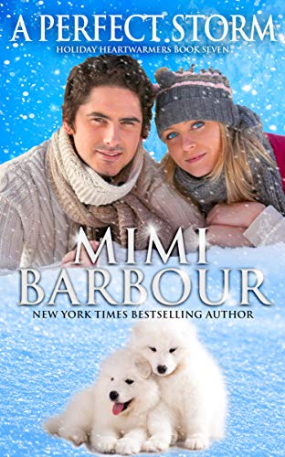 A Perfect Storm (Holiday Heartwarmers Book 6)