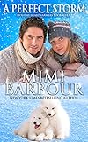 A Perfect Storm (Holiday Heartwarmers Book 6)