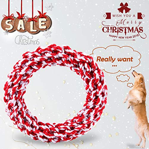 ZNOKA Pet Products Arctic Freeze Fetch Food Cooling Teether Chew Toy (ring1)