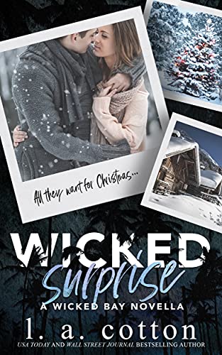 Wicked Surprise: A Wicked Bay Novella