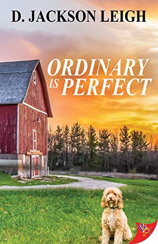 Book Cover Ordinary is Perfect