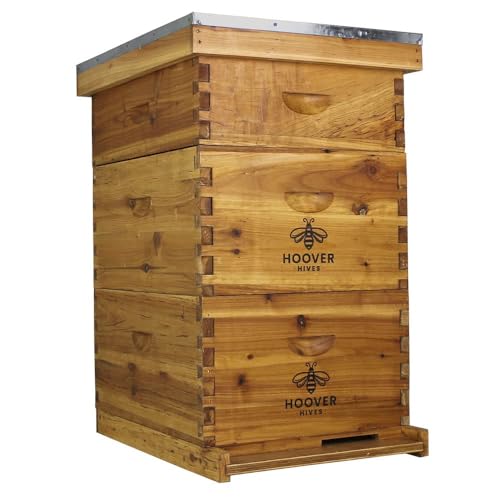 Hoover Hives Natural Bees Wax Coated 10 Frame Bee Hive Includes Frames and Foundations (2 Deep Box, 1 Medium Box)