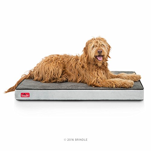 Brindle Orthopedic Memory Foam Pet Bed