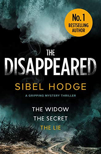 Book Cover The Disappeared: a gripping mystery thriller