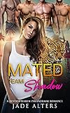 Mated to Team Shadow: A Military Shifter Reverse Harem Romance