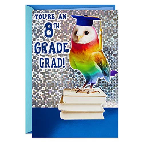 Hallmark 8th Grade Graduation Card (Rainbow Owl, Bright One), Model Number: 499GGJ3027