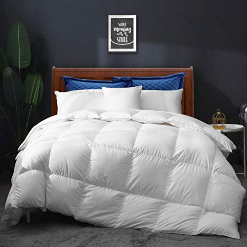 Book Cover APSMILE All Seasons Goose Down Comforter Full/Queen Feather Down Duvet - Ultra-Soft Cotton, 750 Fill-Power 46oz Cloud Fluffy Medium Warm Quilt Comforter Insert(90x90, Solid White)