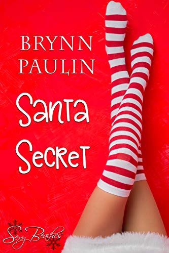 Santa Secret (Daly Way Book 9)