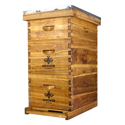 Hoover Hives 8 Frame Langstroth Beehive Dipped in 100% Beeswax Includes Wooden Frames & Waxed Foundations (2 Deep Boxes, 1 Medium Box)
