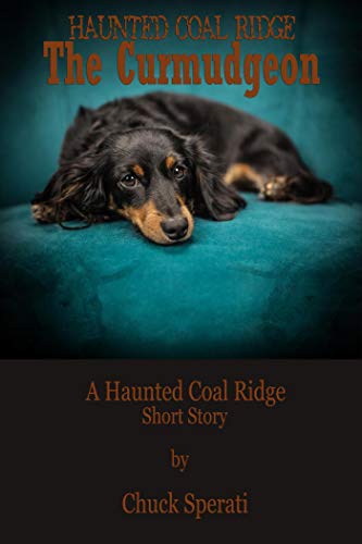 Book Cover Haunted Coal Ridge: The Curmudgeon