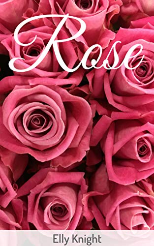 Book Cover Rose: A Western Spanking Romance (Girls of Twin Reach Saloon Book 4)
